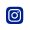 insta-icon